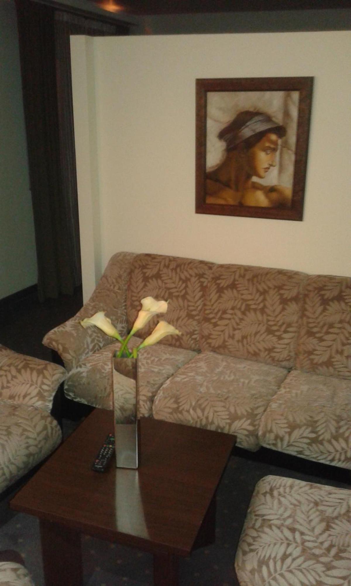 Vila Apolo Belgrade Room photo